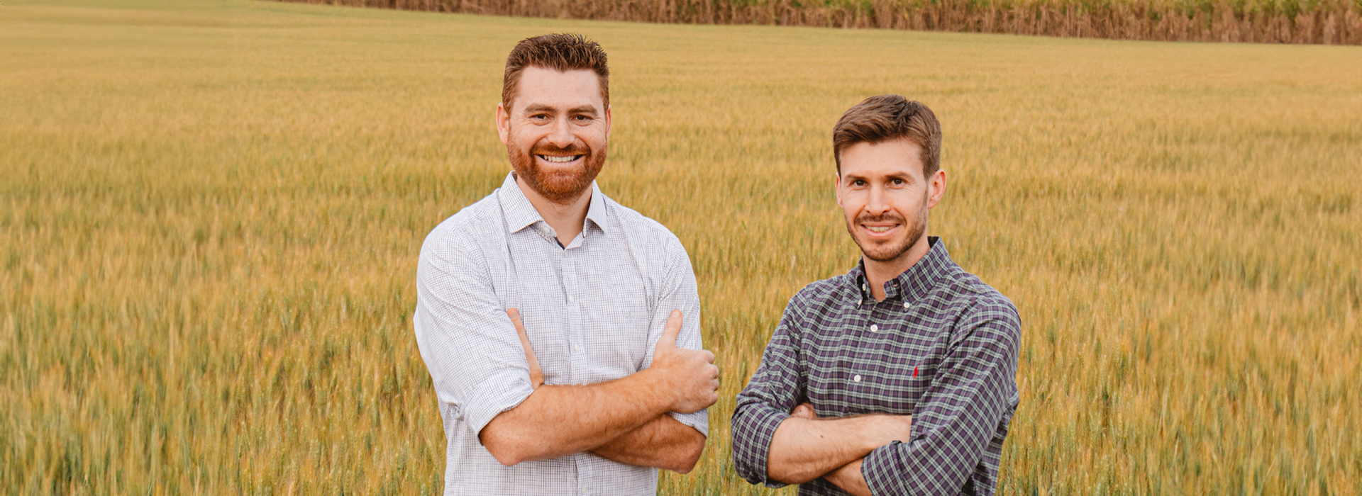 4 estratégias para elevar seus resultados no agro através da comunicação 