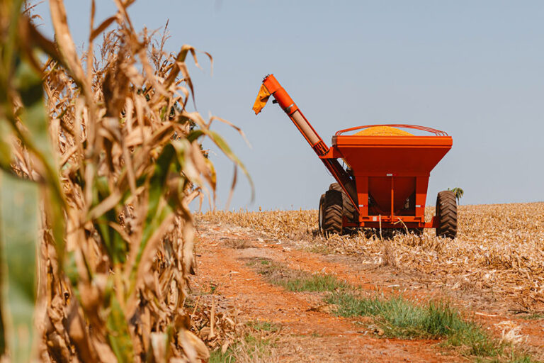 5 táticas para alavancar no agro