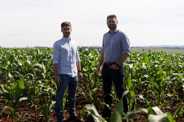 Resiliência no agro