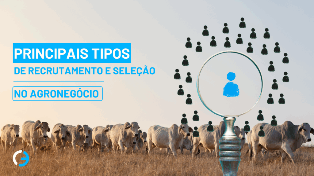 Tipos de recrutamento e seleção no agro