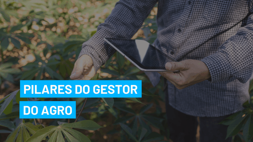 Os pilares de um gestor no agro